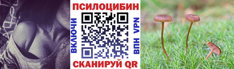 Галлюциногенные грибы Psilocybe Владикавказ