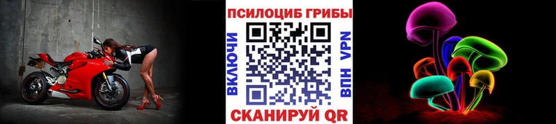 Галлюциногенные грибы мицелий  Купить закладки  Владикавказ 