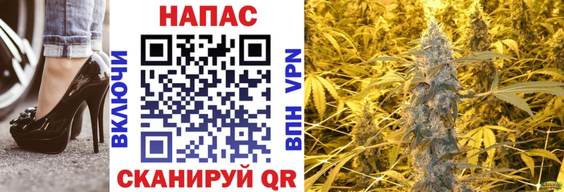 Шишки марихуана сатива  Купить где  Владикавказ 